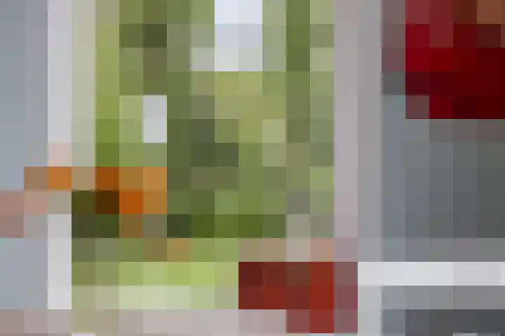 Twelloseweg 3 Terwolde thumbnail 24