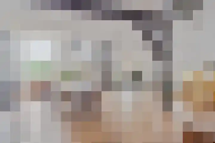 Twelloseweg 3 Terwolde thumbnail 28