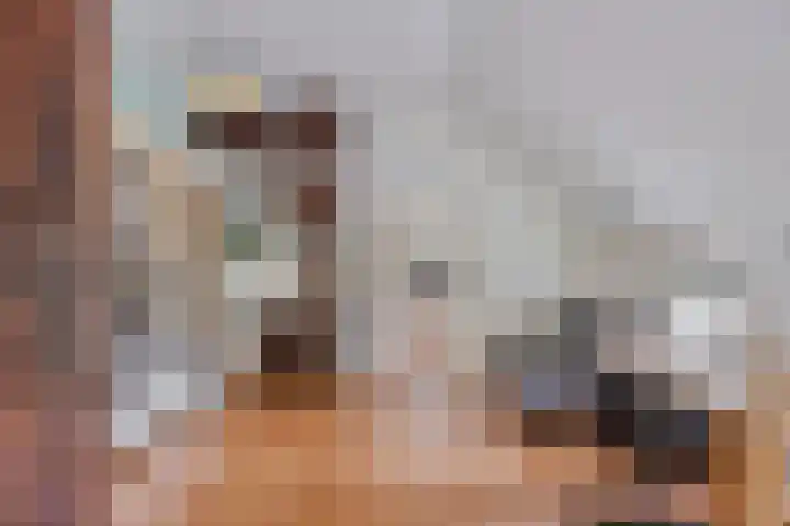 Twelloseweg 3 Terwolde thumbnail 32