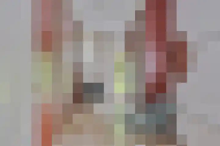 Twelloseweg 3 Terwolde thumbnail 39