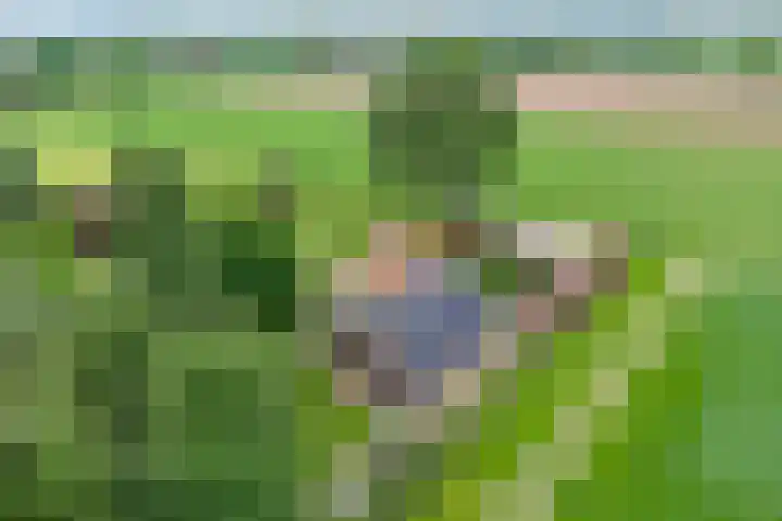 Twelloseweg 3 Terwolde thumbnail 4