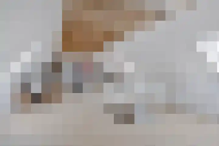 Twelloseweg 3 Terwolde thumbnail 40
