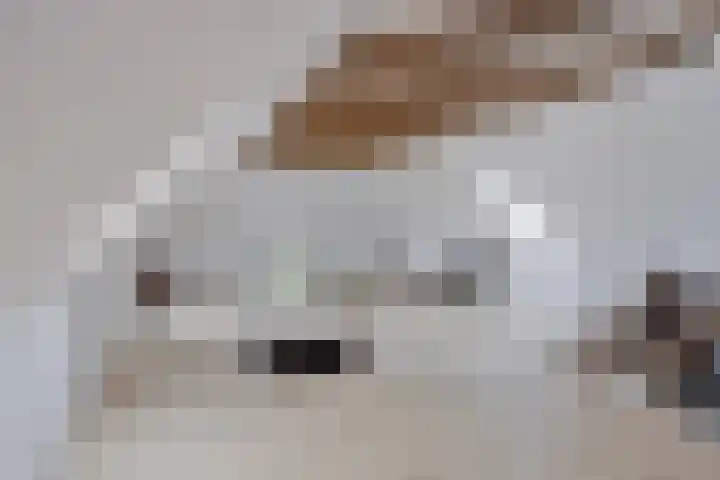 Twelloseweg 3 Terwolde thumbnail 41