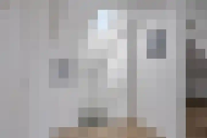 Twelloseweg 3 Terwolde thumbnail 44