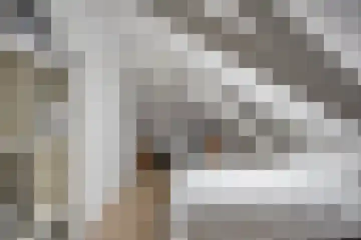 Twelloseweg 3 Terwolde thumbnail 47