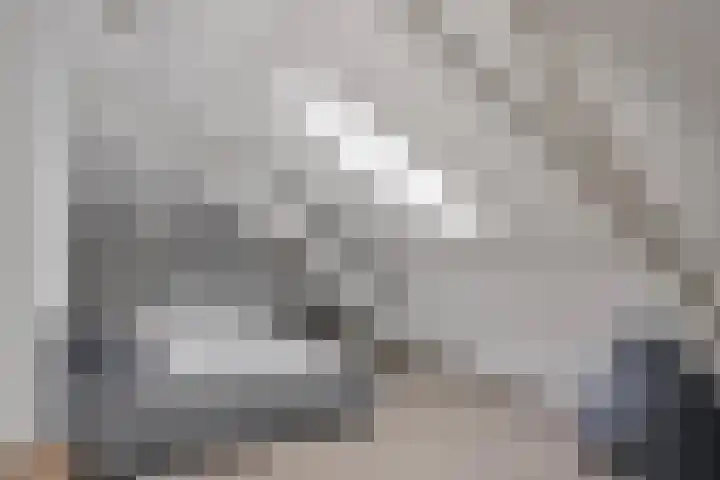 Twelloseweg 3 Terwolde thumbnail 48