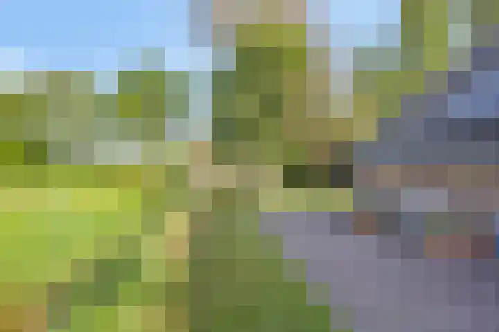 Twelloseweg 3 Terwolde thumbnail 50