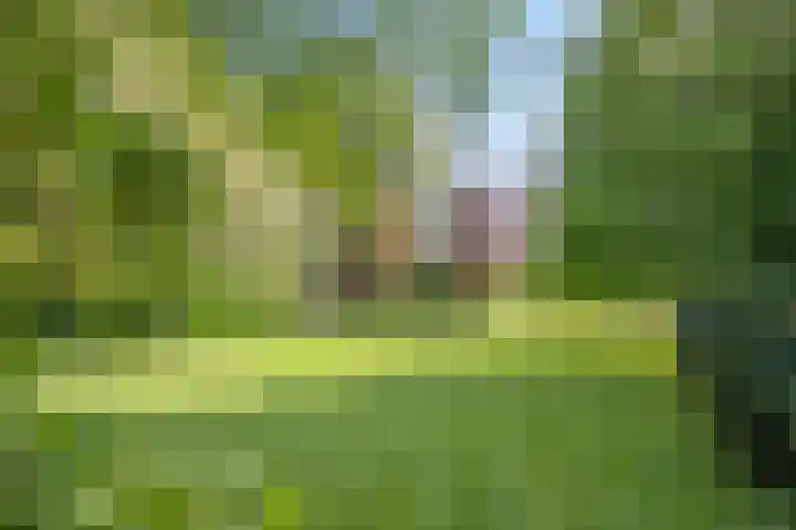 Twelloseweg 3 Terwolde thumbnail 51