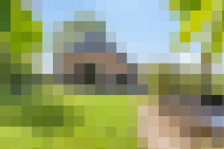 Twelloseweg 3 Terwolde thumbnail 52