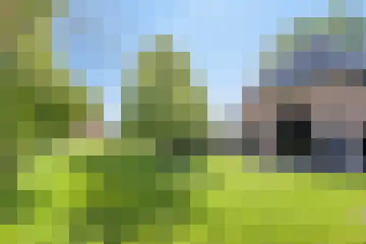 Twelloseweg 3 Terwolde thumbnail 53