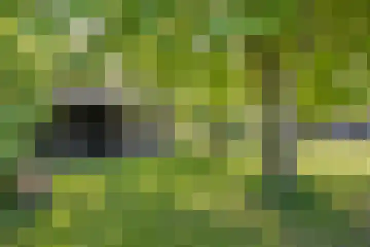 Twelloseweg 3 Terwolde thumbnail 54