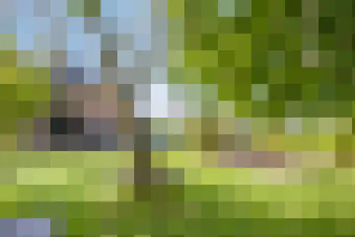 Twelloseweg 3 Terwolde thumbnail 55