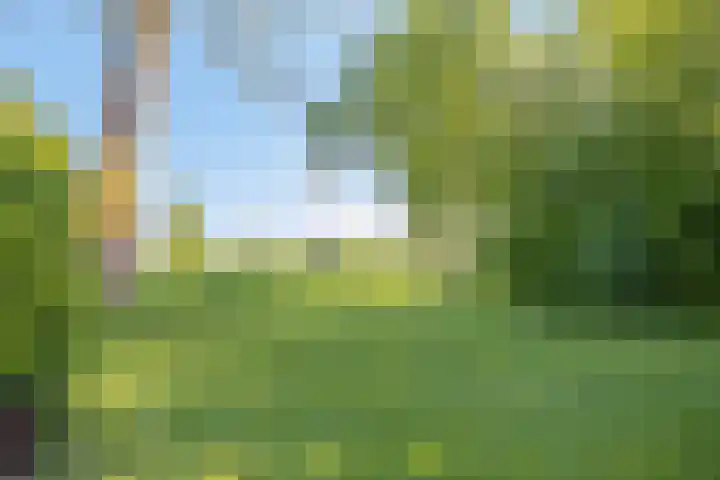 Twelloseweg 3 Terwolde thumbnail 56