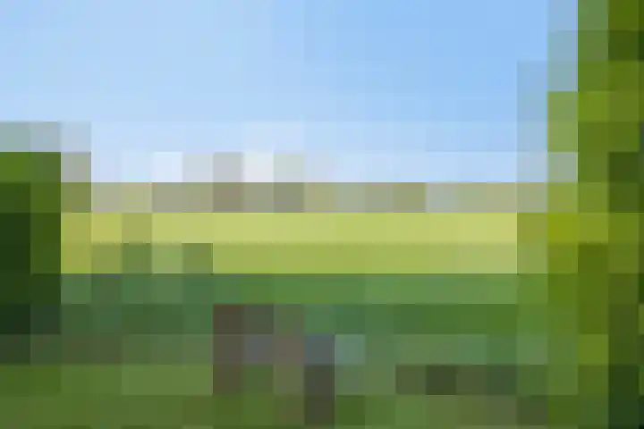 Twelloseweg 3 Terwolde thumbnail 57