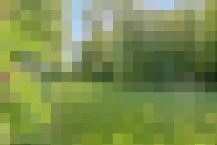 Twelloseweg 3 Terwolde thumbnail 58