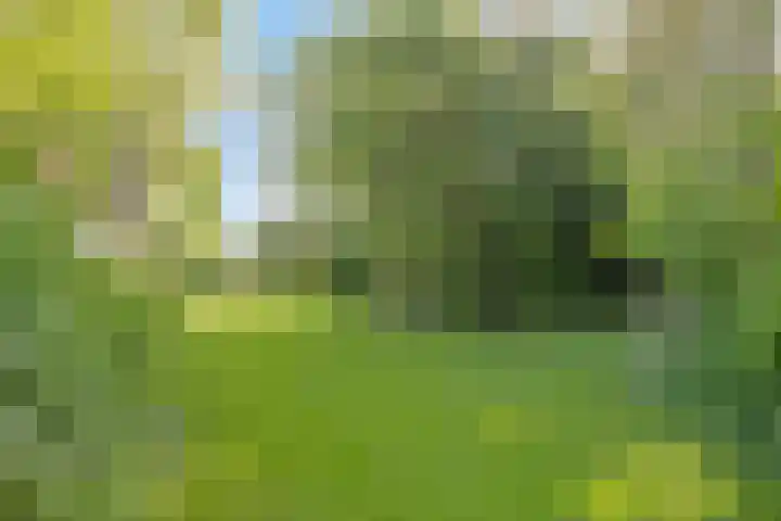 Twelloseweg 3 Terwolde thumbnail 59