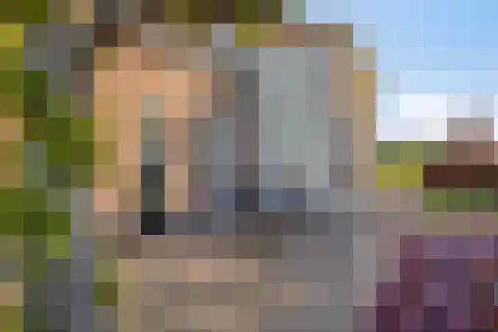 Twelloseweg 3 Terwolde thumbnail 6