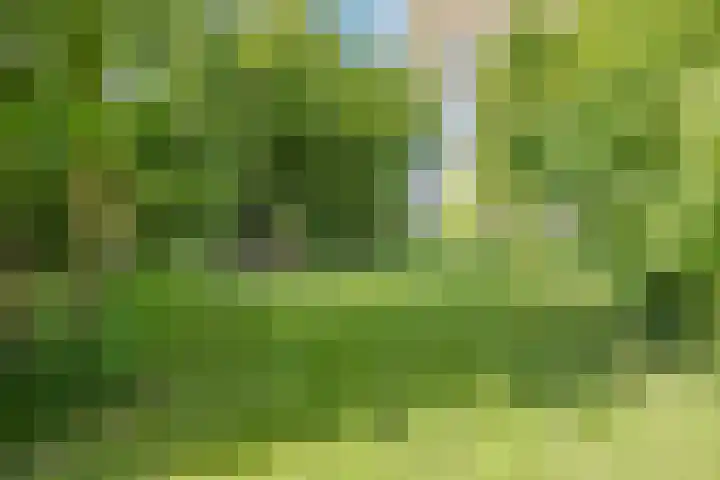 Twelloseweg 3 Terwolde thumbnail 60