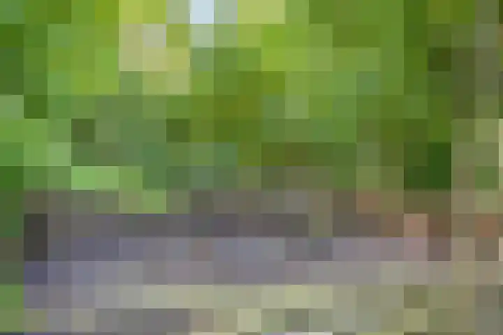 Twelloseweg 3 Terwolde thumbnail 61