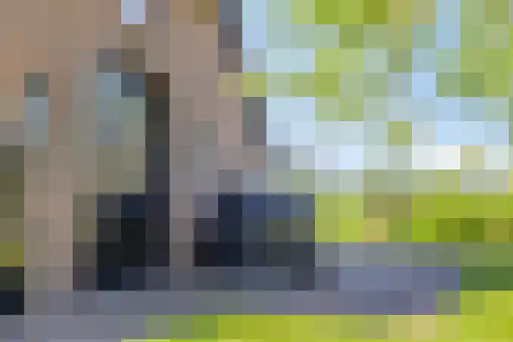 Twelloseweg 3 Terwolde thumbnail 63