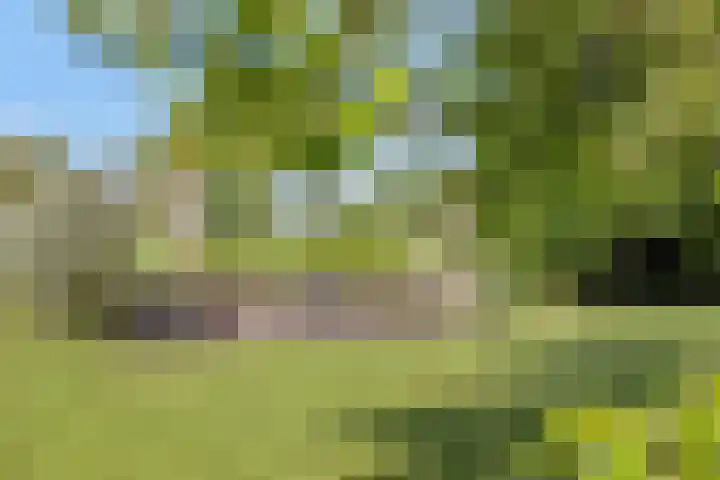 Twelloseweg 3 Terwolde thumbnail 64