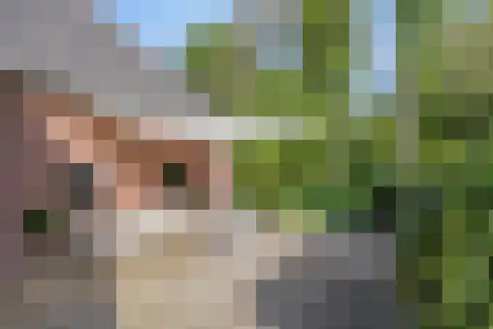 Twelloseweg 3 Terwolde thumbnail 65