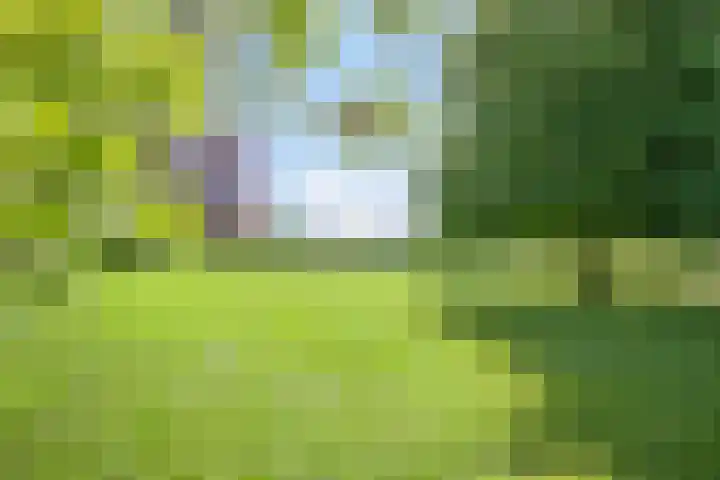 Twelloseweg 3 Terwolde thumbnail 66