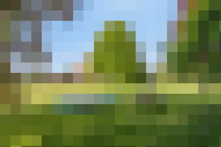 Twelloseweg 3 Terwolde thumbnail 69