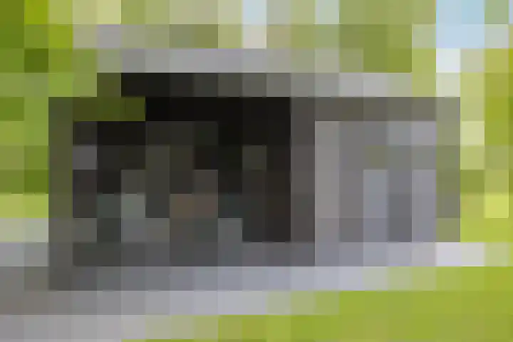 Twelloseweg 3 Terwolde thumbnail 70