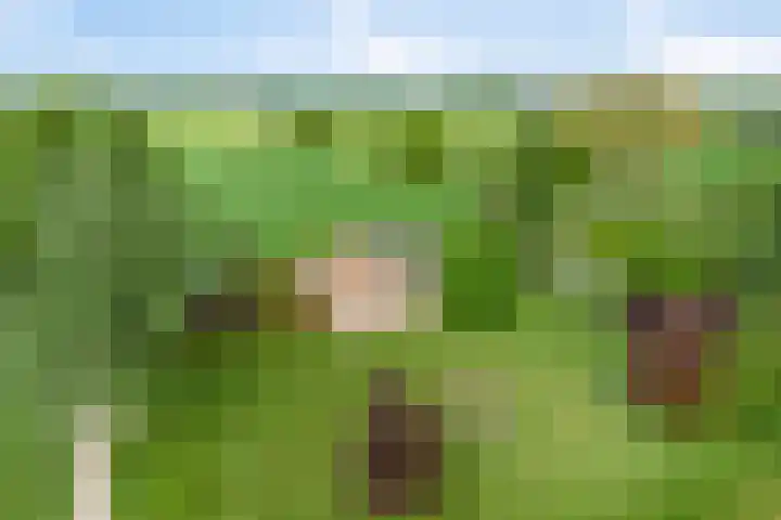 Twelloseweg 3 Terwolde thumbnail 71