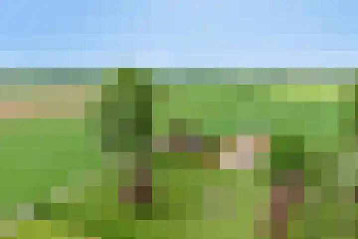 Twelloseweg 3 Terwolde thumbnail 72