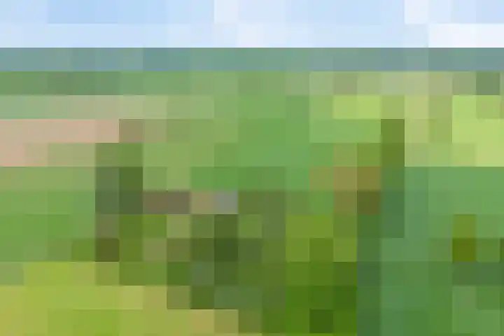 Twelloseweg 3 Terwolde thumbnail 73