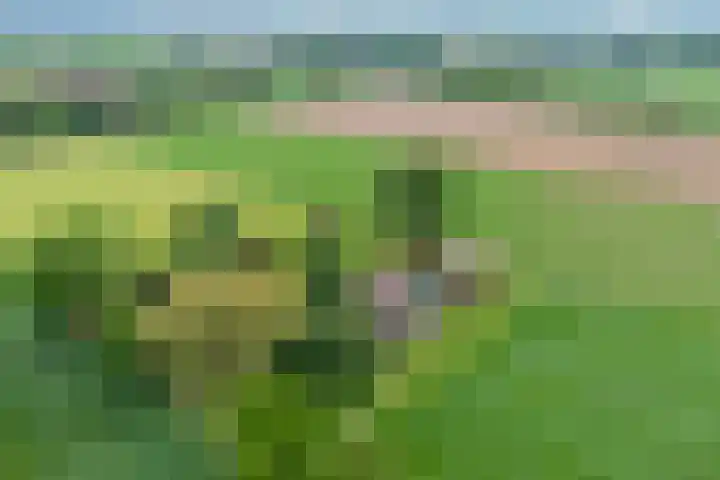 Twelloseweg 3 Terwolde thumbnail 74