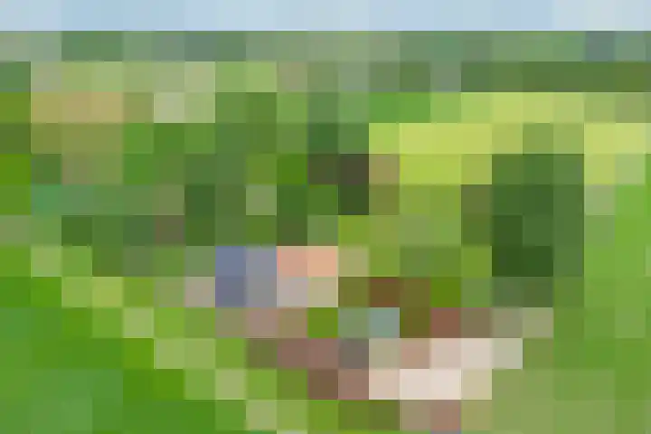 Twelloseweg 3 Terwolde thumbnail 75