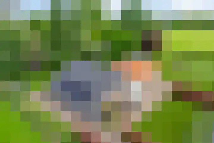 Twelloseweg 3 Terwolde thumbnail 76