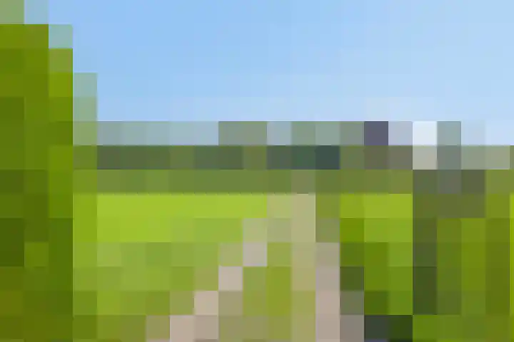 Twelloseweg 3 Terwolde thumbnail 77