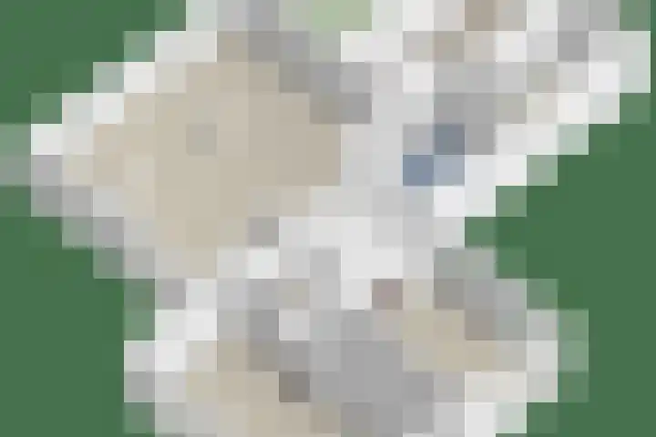 Twelloseweg 3 Terwolde thumbnail 83