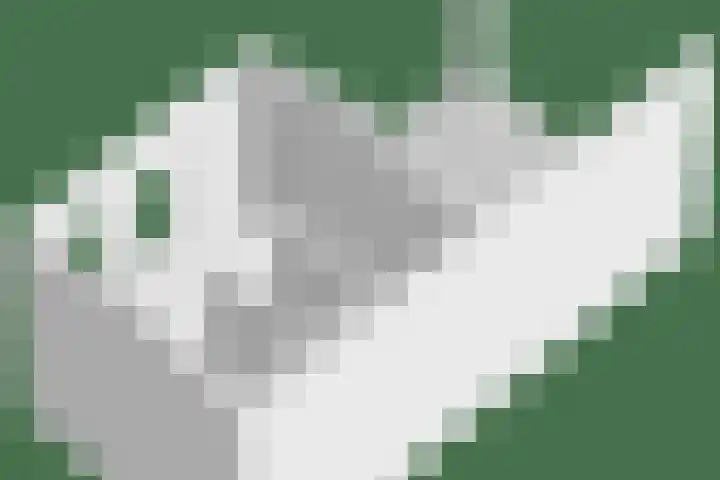 Twelloseweg 3 Terwolde thumbnail 86
