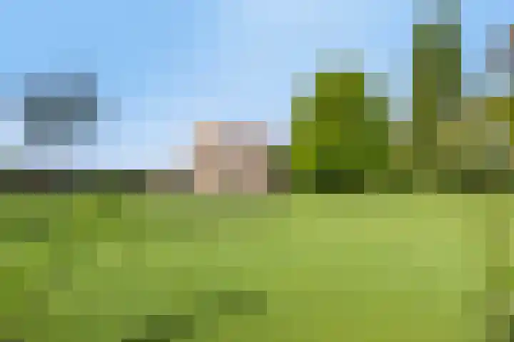 Twelloseweg 3 Terwolde thumbnail 9