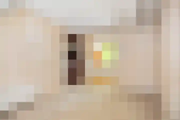 Twelloseweg 73 Terwolde thumbnail 16