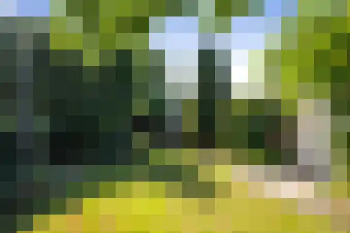 Twelloseweg 73 Terwolde thumbnail 23