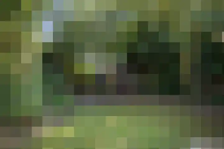 Twelloseweg 73 Terwolde thumbnail 25