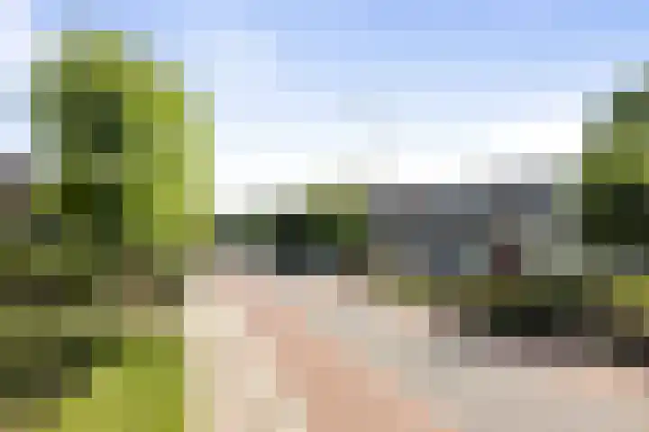Twelloseweg 73 Terwolde thumbnail 26