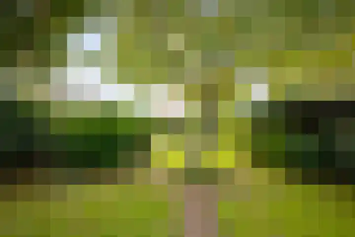 Twelloseweg 83 Terwolde thumbnail 33