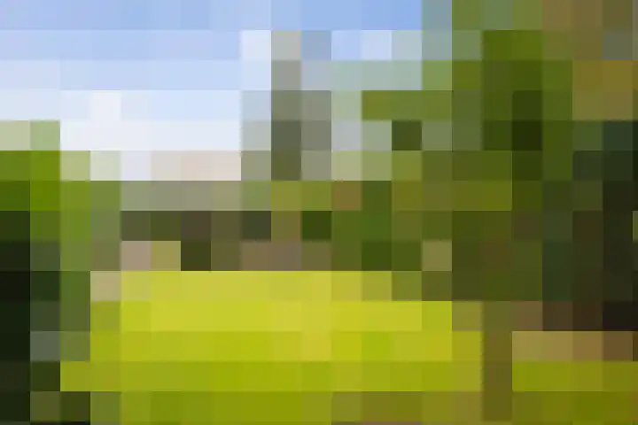 Twelloseweg 83 Terwolde thumbnail 34