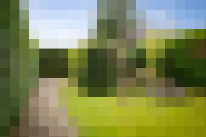 Twelloseweg 83 Terwolde thumbnail 37