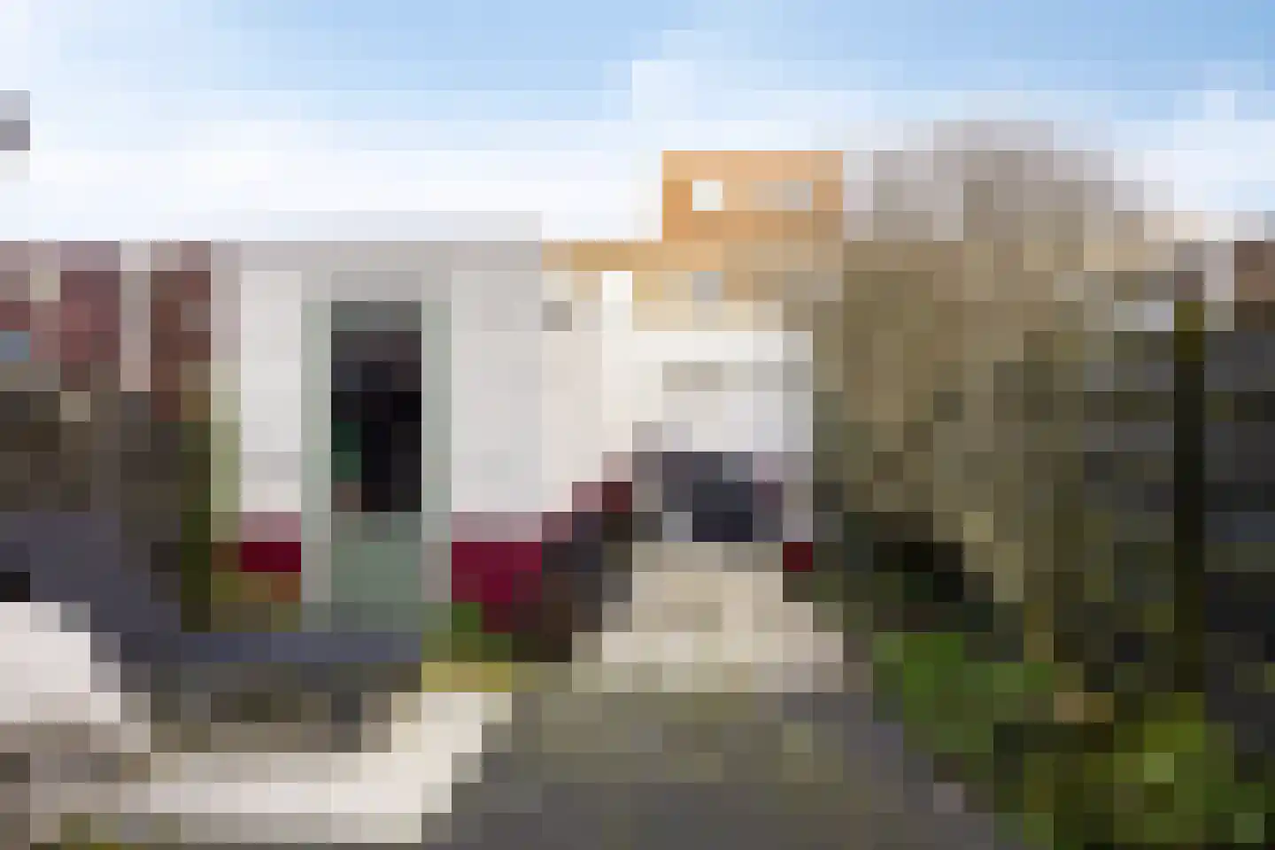 Twellostraat 16 Amsterdam thumbnail 15
