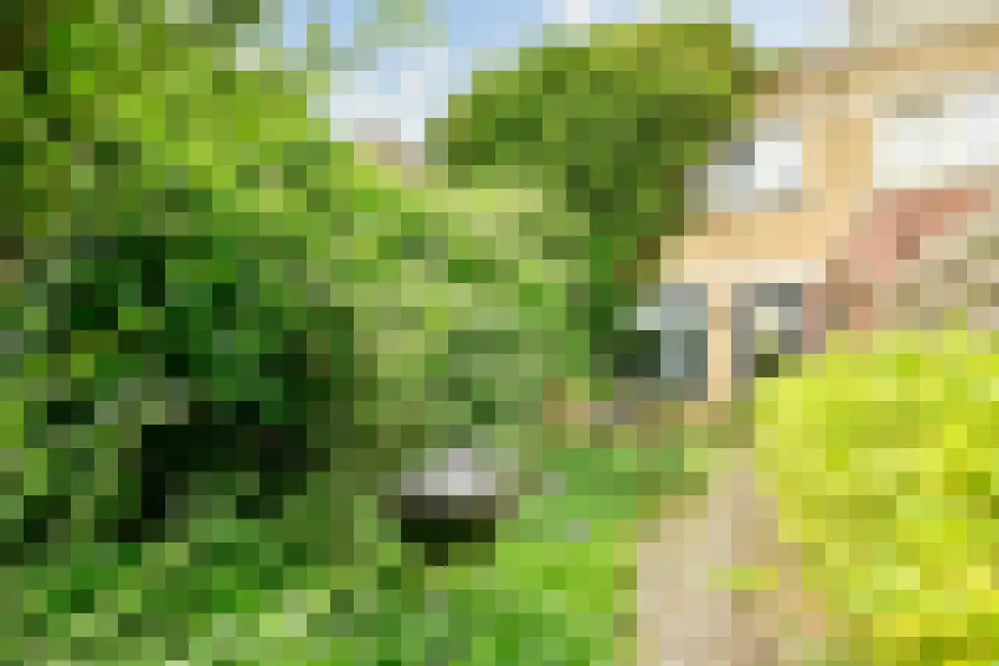 Twellostraat 32 Amsterdam thumbnail 7