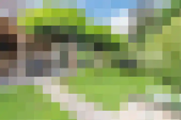 Twente 10 Emmeloord thumbnail 35