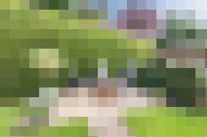Twente 10 Emmeloord thumbnail 36
